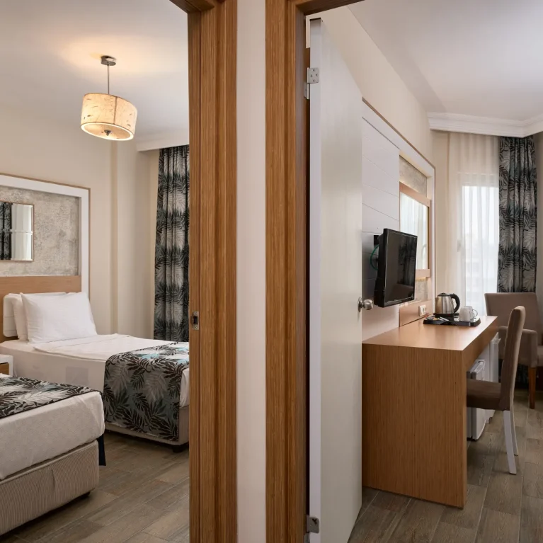 standart-family-room-1